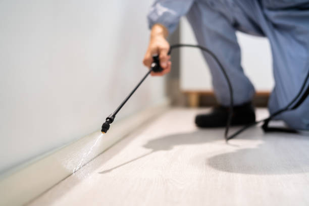 Licensed Pest Control service in Sandy Springs, GA - Show Me Pest Control