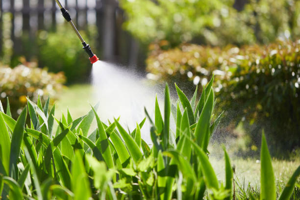 24/7 Emergency Ant Control experts in Sandy Springs, GA